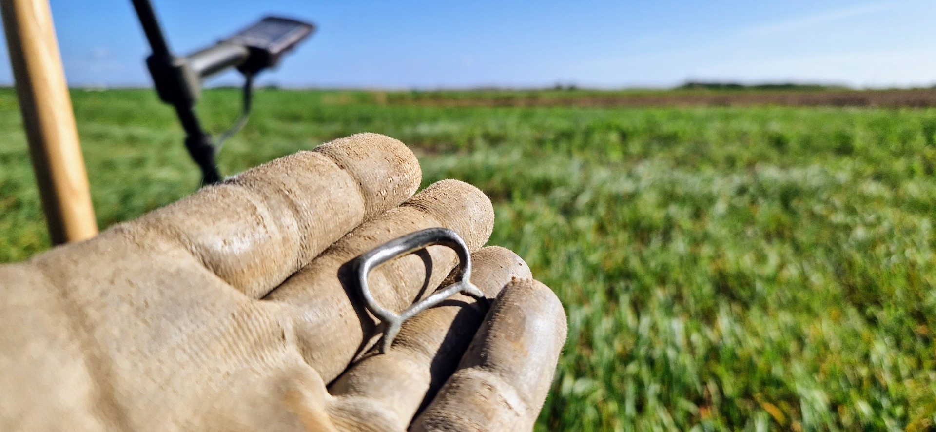 Een vertinde gesp in de hand met een Minelab Equinox 800 detector op de achtergrond